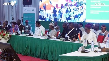 Assalto all'ambasciata francese in Niger, 'Viva Putin'