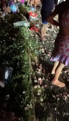 Caminhão com alho tomba e população saqueia carga em AL