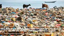 Some Key Facts about Plastic Pollution | Beat Plastic Pollution & Conserve Planet Earth | Education