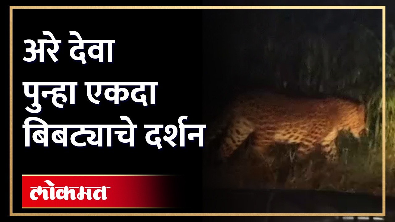 नाशिकच्या भगूर परिसरामध्ये बिबट्या नागरिक भयभीत