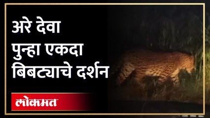 नाशिकच्या भगूर परिसरामध्ये बिबट्या नागरिक भयभीत