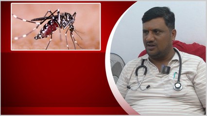 ప్రబలుతున్న Dengue Fever.. జాగ్రత్తలు పాటించి అర్టికట్టండిలా.. | Telugu OneIndia