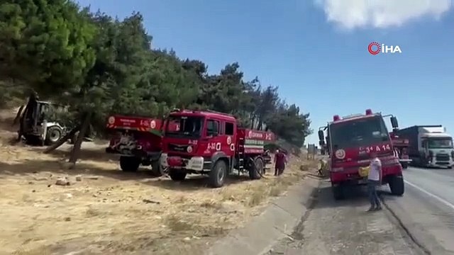 Le feu de forêt à Hatay a été éteint avant qu'il ne grandisse