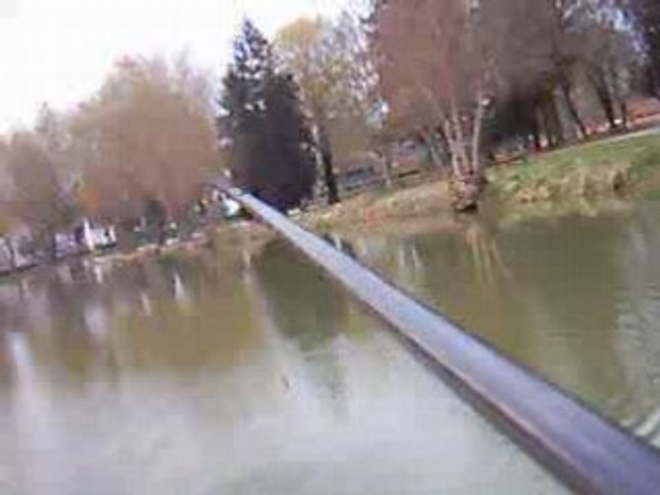 Pêche carpe au coup