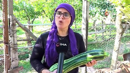 70 santim uzunluğundaki kabak, görenleri şaşkına çevirdi