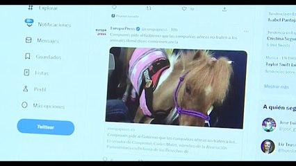 El renombre de Twitter desencadena una alerta de seguridad en Microsoft Edge