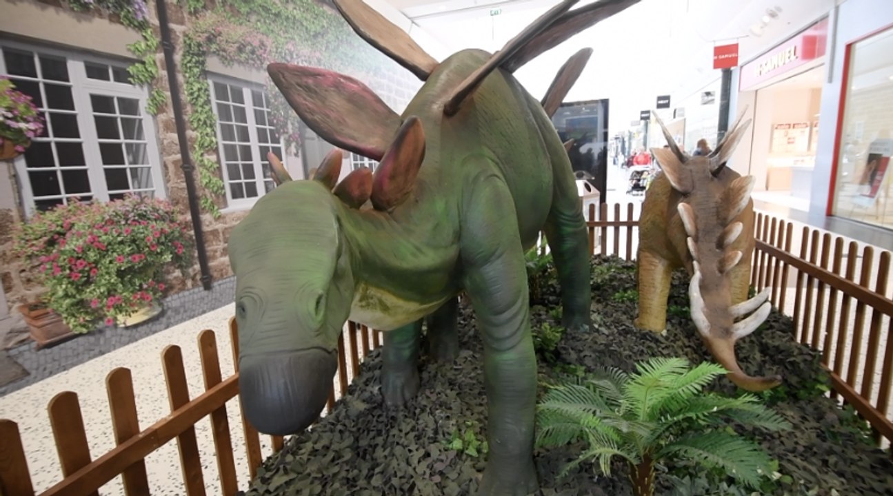 Dino trail at White Rose Shopping Centre