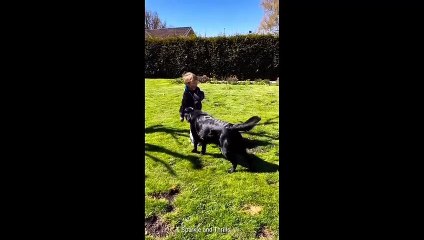 Cuteness Overload: Babies and Pets Edition