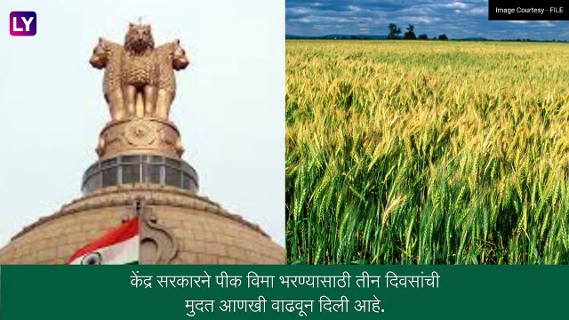 Crop Insurance: केंद्र सरकारकडून पीक विमा भरण्यास मुदतवाढ, जाणून घ्या तारीख