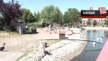 Hayvanat bahçesinde buzlu meyve kokteyli ile serinlediler