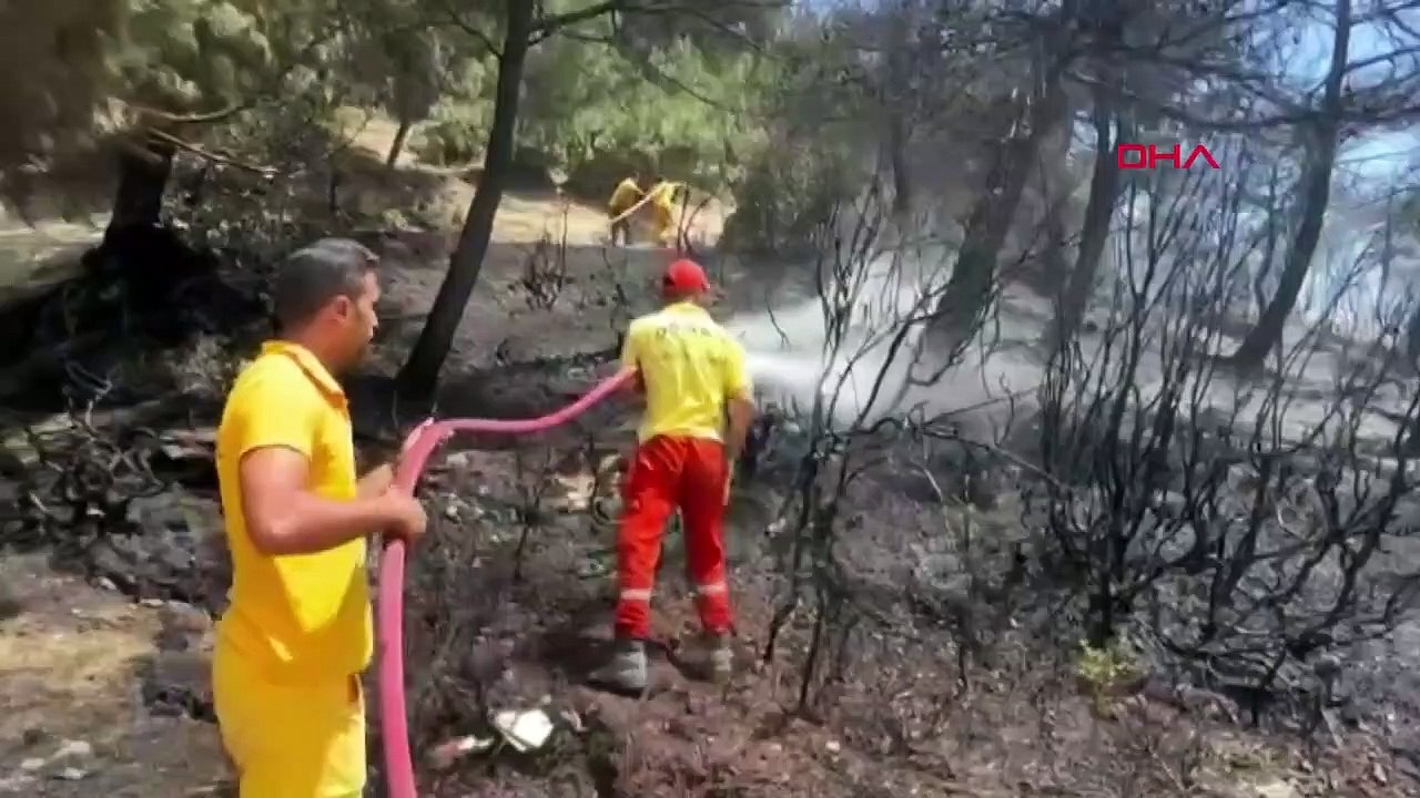 Le feu de forêt à Belen, Hatay a été éteint en peu de temps