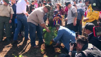 ”Mi hijo está presente con este árbol”: Brigadista recuerda a su hijo caído en incendio de Tapalpa