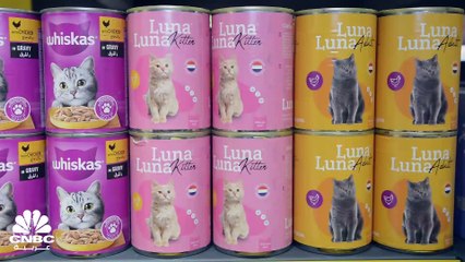 سوق الحيوانات الأليفة تتوسع بشكل ملحوظ في العام الماضي بالعراق