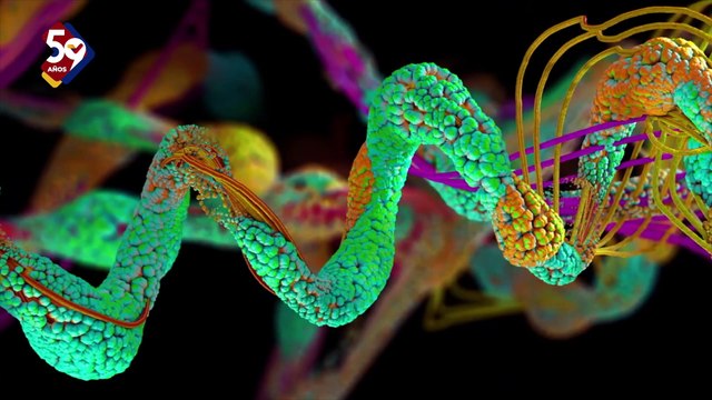 La hipoacusia infantil puede afectar el desarrollo del habla