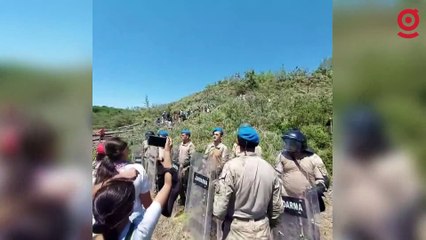 Akbelen Ormanı direnişi sonuç verdi: Kesim durdu!