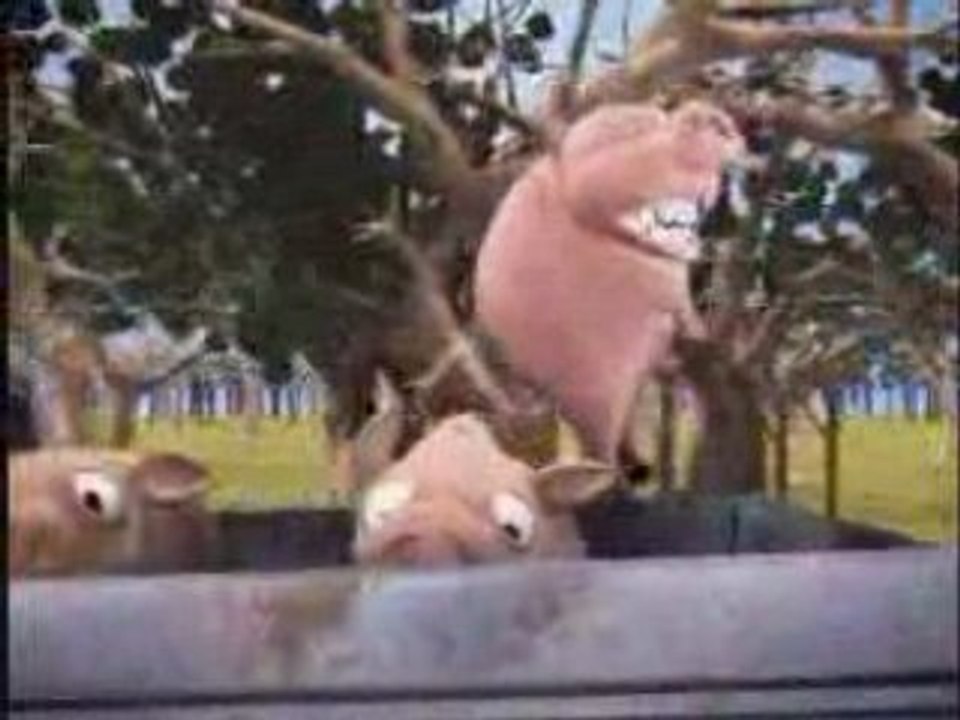 Roadkill_pigs