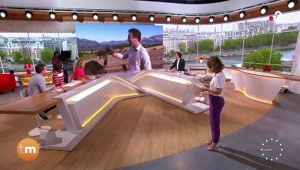 Un journaliste de Télématin attaqué en plein direct sur France 2