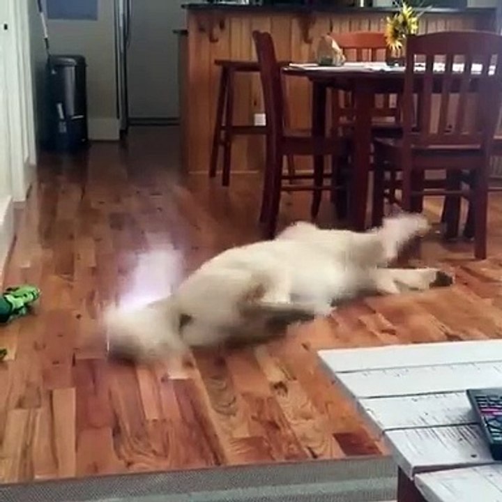 Training for life
