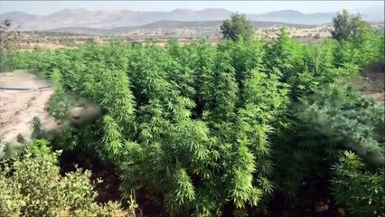 Lice'de 11 milyar TL'lik uyuşturucu ele geçirildi