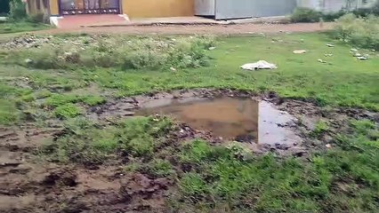 गंदे पानी से पनप रहा लार्वा, सिर्फ एडवाइजरी तक सीमित विभाग