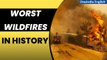 Wildfires: The Big Burn to The Chernobyl Wildfire | Worst wildfires in history | Oneindia News