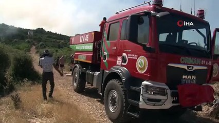 Une réponse rapide à l'incendie de forêt a ravi les citoyens : "Que Dieu bénisse notre gouvernement"