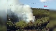 Un incendie de forêt s'est déclaré dans le district Menteşe de Muğla.