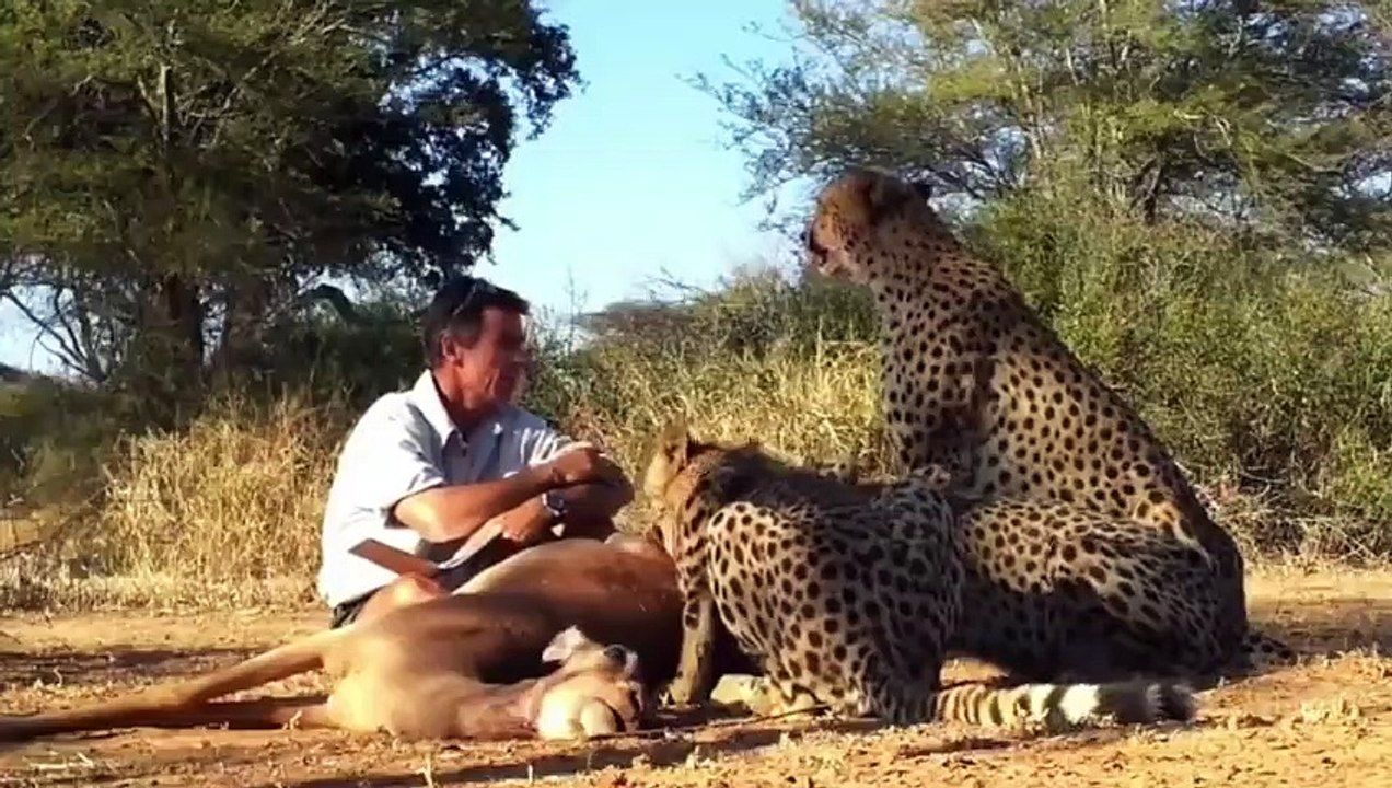 When the animals suddenly appeared  When Wild Animals Surprised Photographers