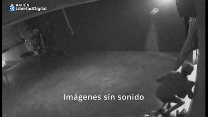 Cae una banda de aluniceros que desvalijaba viviendas en la comarca sevillana del Aljarafe