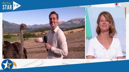 Télématin : Maud Descamps met en garde un journaliste qui se fait attaquer par une autruche (ZAPTV)