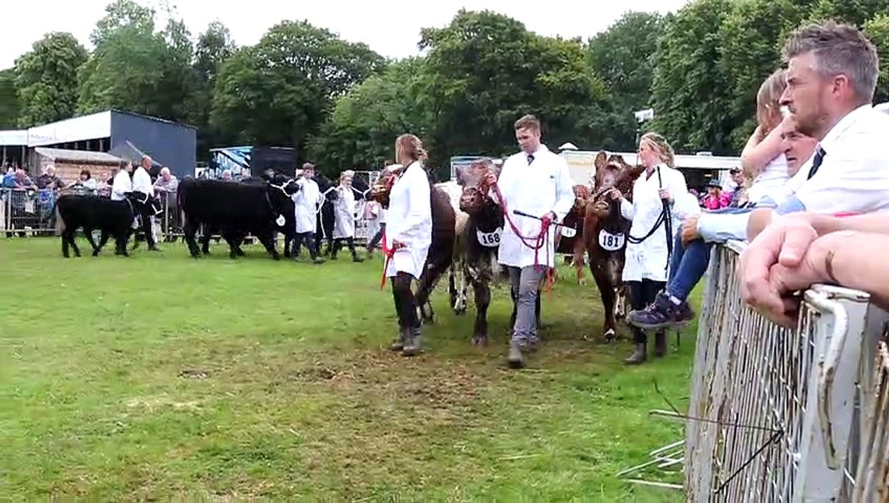 Turriff Show - Interbreed groups