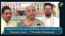 'Opposition was just shedding crocodile tears on Manipur issue…': Nirmala Sitharaman