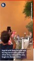 French Tourist Documents Experience in Sicily as Wildfires Rage
