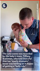 Clingy Dog Competes for Owner's Affections With Newborn Baby