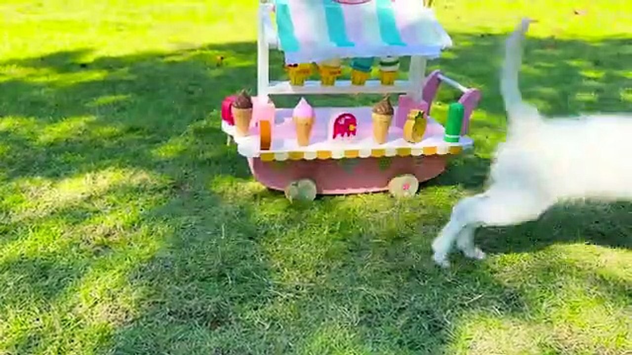 Monkey Baby Bon Bon Goes To Harvest Watermelon Chased By Dinosaur And Swim With Duckling In The Pool