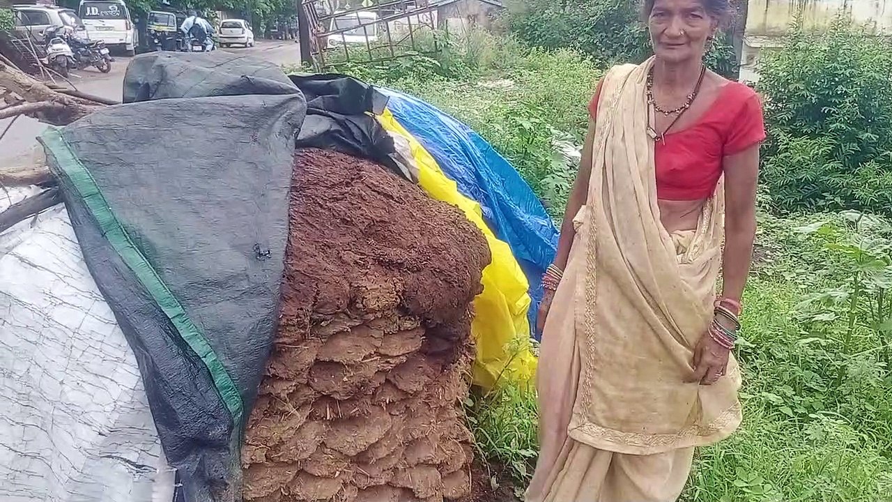 रुपए में बिकने वाले गोबर से बना रही 3 कंडे , मि...