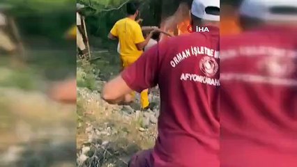 Un incendie de forêt à Muğla a été maîtrisé