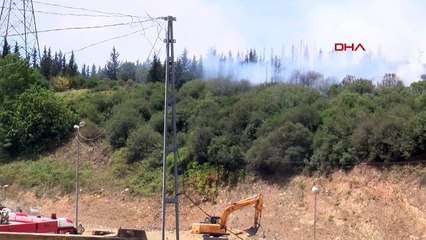 KAĞITHANE'DE TEM OTOYOLU KENARINDA AĞAÇLARDA YANGIN-2