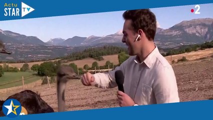 "Je me fais dévorer vivant" : un journaliste de Télématin attaqué en direct par une autruche !
