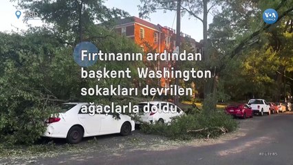 Fırtına başkent Washington'da ağaçları devirdi