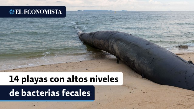 ¿De vacaciones? Cofepris reporta las 14 playas de México con altos niveles de bacterias fecales