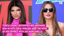 RHONJ Teresa Giudice Calls Out Sofia Vergara Amid Joe Manganiello Divorce News