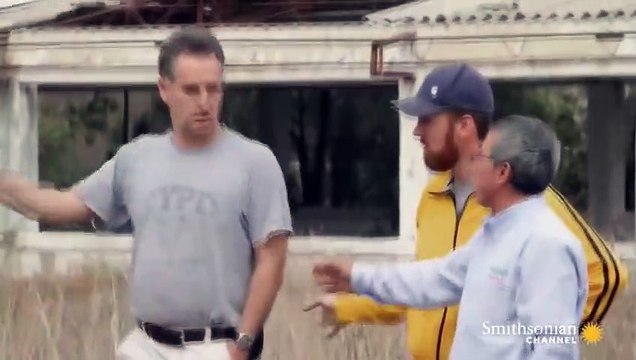 A Film Crew Unleashes 40,000 Killer Bees on Itself