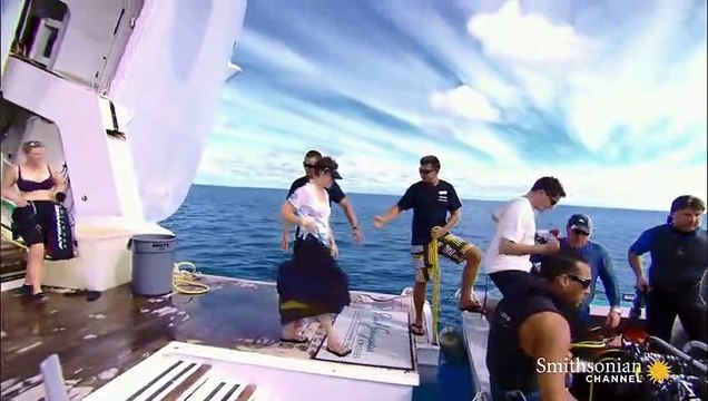 Diving Into French Polynesia's Shark Infested Waters