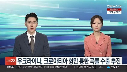 우크라이나, 크로아티아 항만 통한 곡물 수출 추진