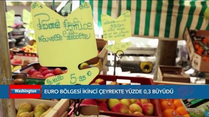 Download Video: Euro Bölgesi ikinci çeyrekte yüzde 0,3 büyüdü