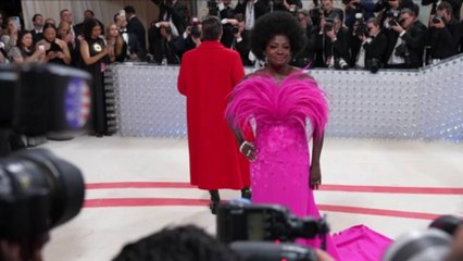 Viola Davis Puts Project On Hold Even After SAG Waiver