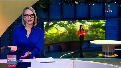 Científicos alertan por cambio climático subterráneo