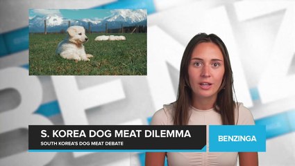 South Korea's Dog Meat Industry Faces Growing Backlash