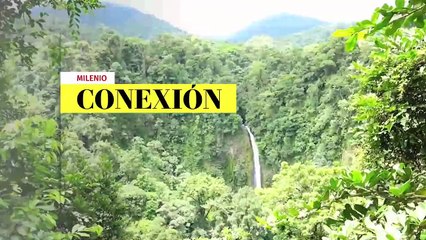 Viaje a las colinas submarinas; mar Caribe | Conexión Milenio